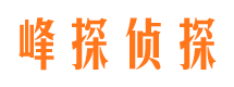 临湘市私家侦探